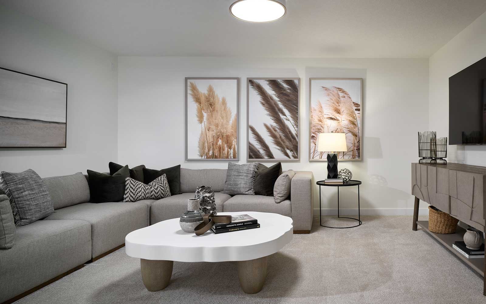 A photo of the bonus room of the Purcell 24 show home in Rockland Park by Brookfield Residential