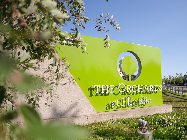 The Orchards