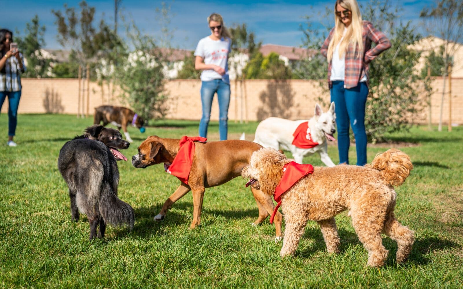 Paws Park at New Haven in Ontario, CA
