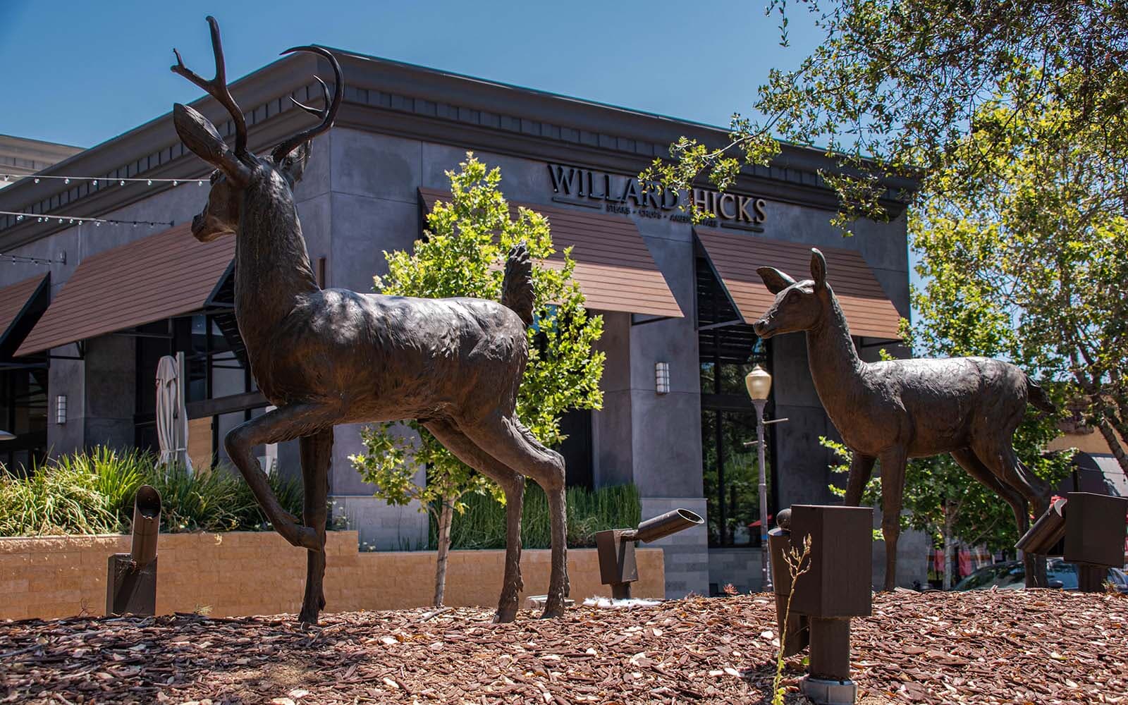 Park Sculptures in Morgan Hill, CA