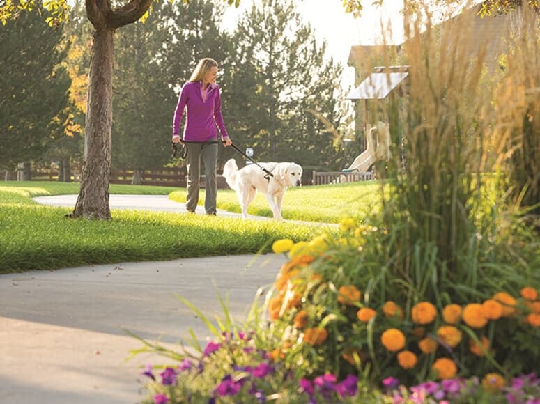 Brighton Crossings Brighton Crossings