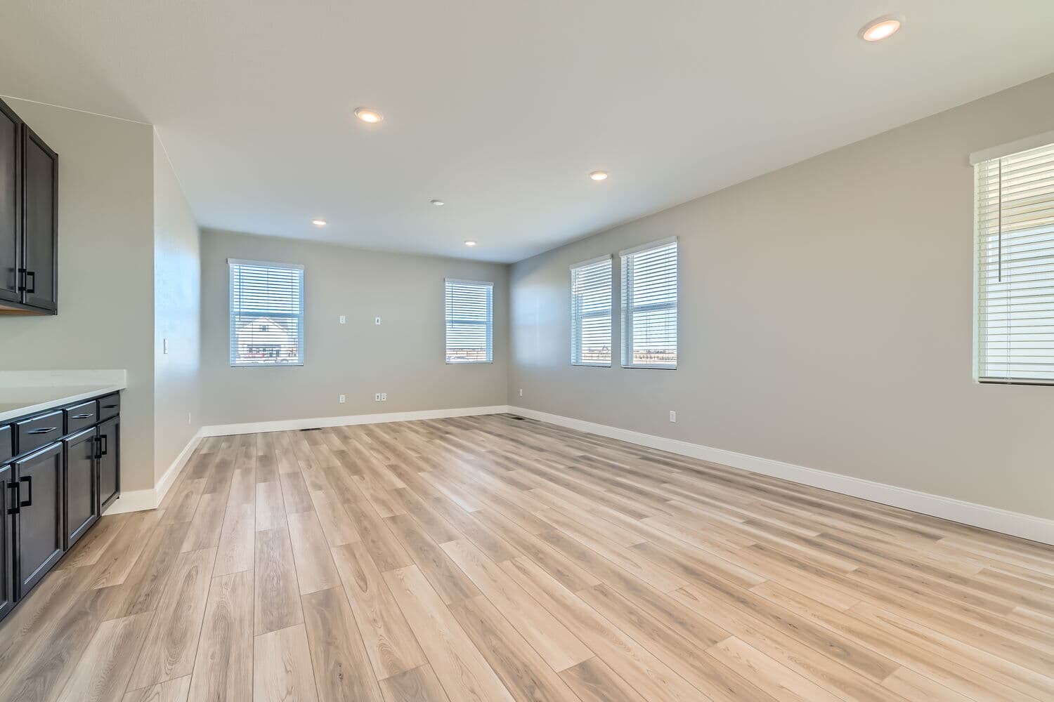 12920 Pinnacle Street Family Room at Barefoot Lakes in Firestone, CO