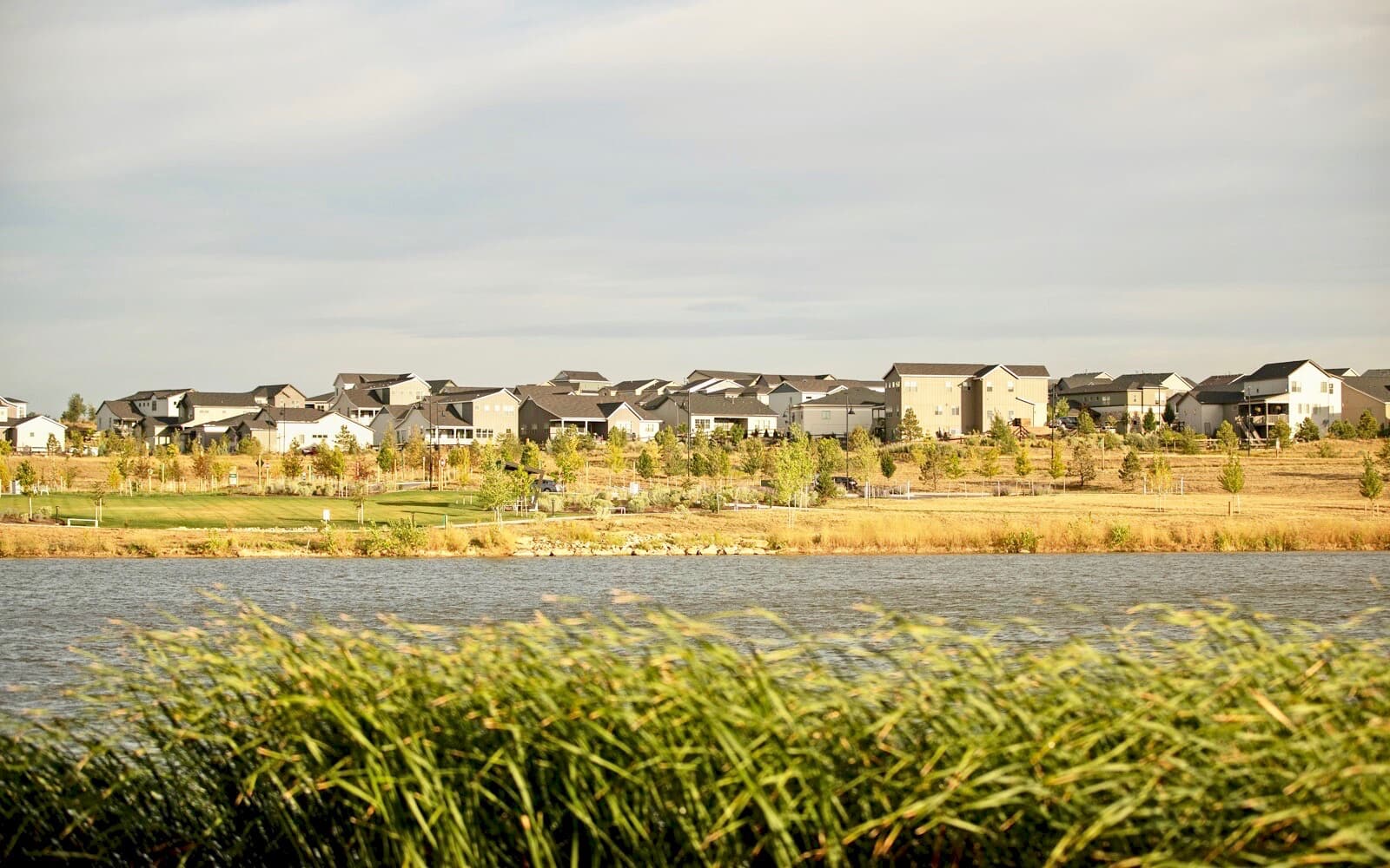 Brookfield new construction photo 5