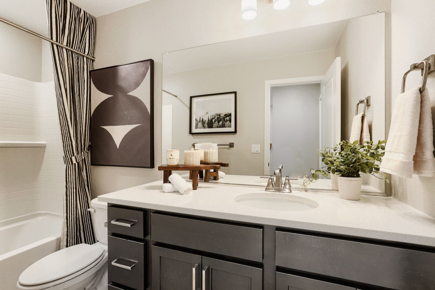Novella One Secondary Bath at Barefoot Village in Firestone, CO Novella One Secondary Bath at Barefoot Village in Firestone, CO