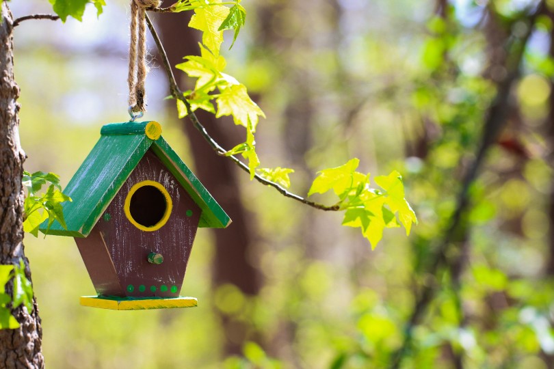 Green, yellow and brown birdhouse hanging from tree branch