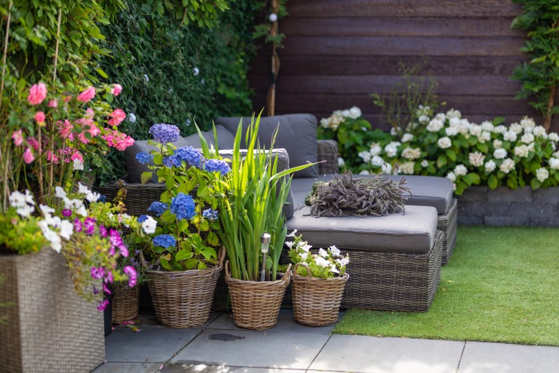 Modern lounge sofa in a garden filled with vibrant spring flowers