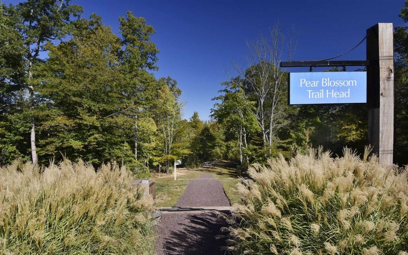 Walking trail at Embrey Mill in Stafford VA