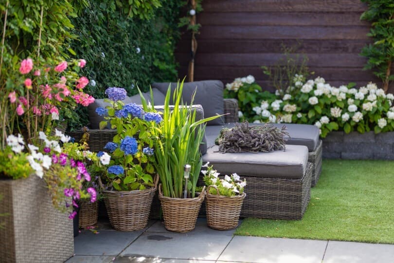 Modern lounge sofa in a garden filled with vibrant spring flowers