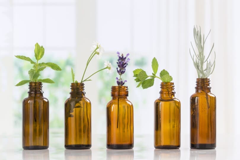 Brown bottles of essential oil with fresh herbs