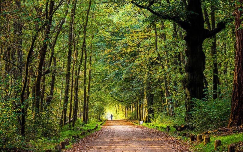 Walking trail at Urban Park in Pickering Ontario