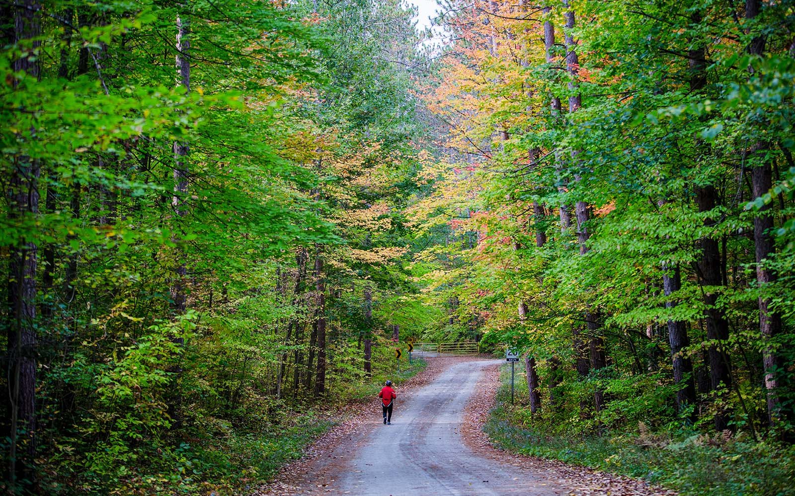 Walking trail at Midhurst Valley in Midhurst, Ontario.