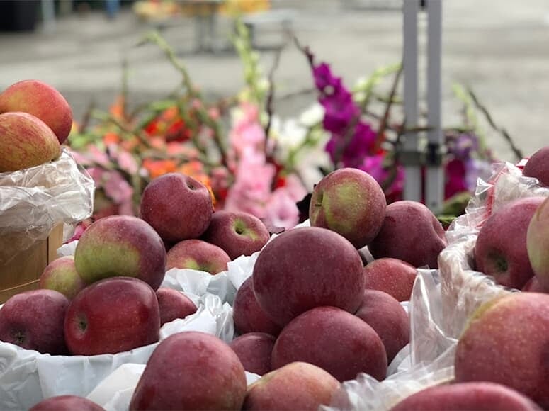 Local farmer's market in Newcastle, Ontario.