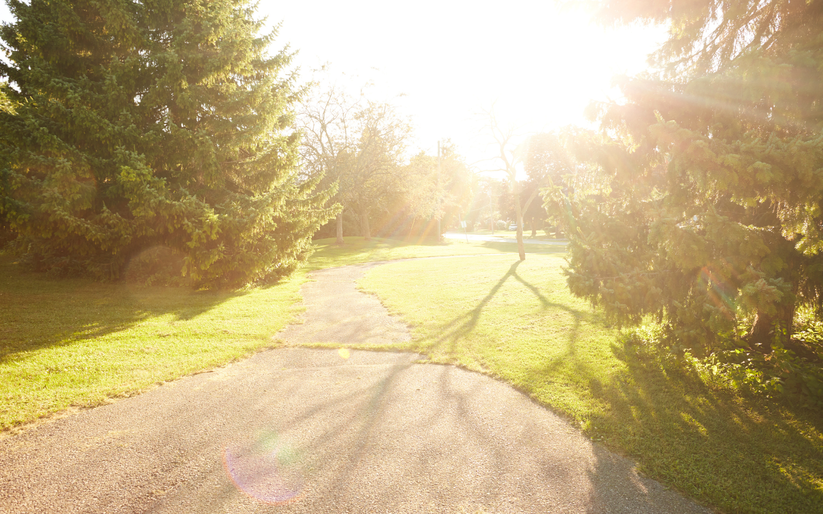 Park in Newcastle, ON