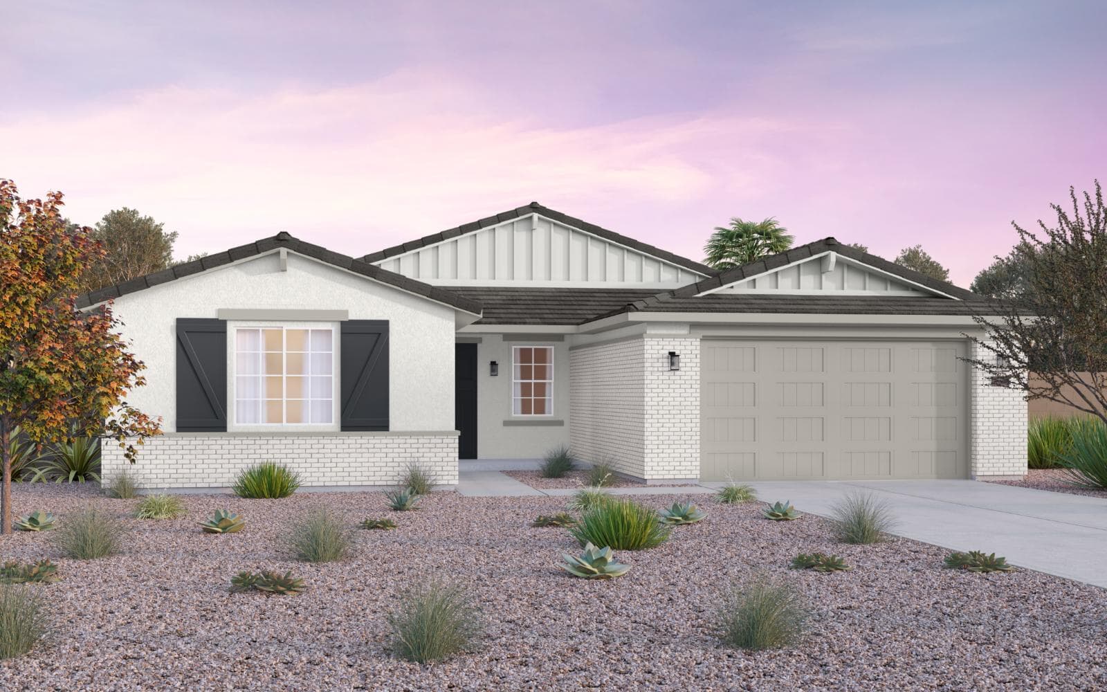 D - Arizona Ranch Blossom Rock Mariposa Lily D Arizona Ranch