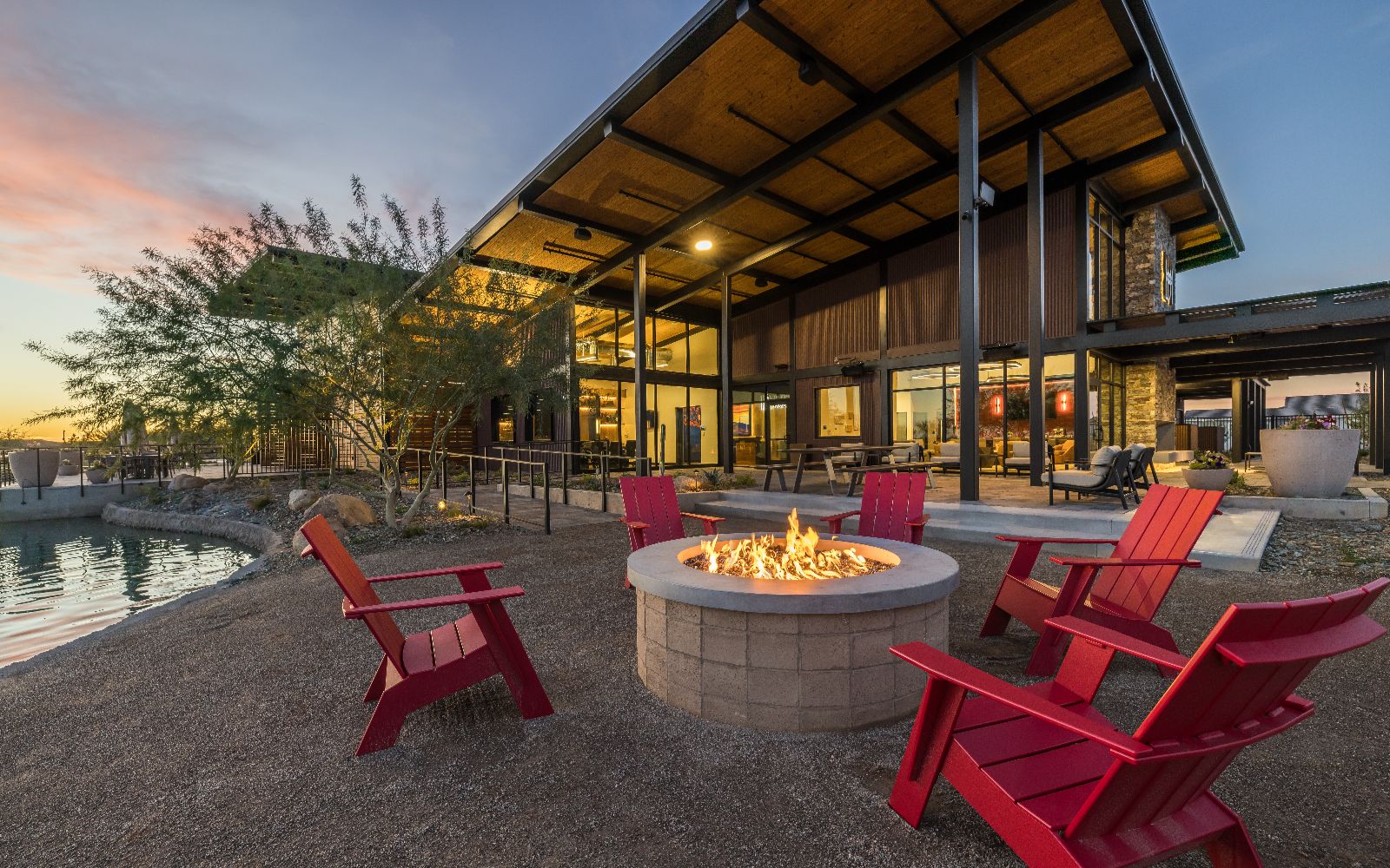 The Dutch