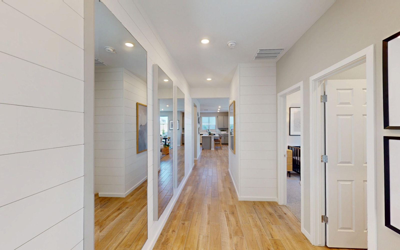 Wildflower Daisy Model