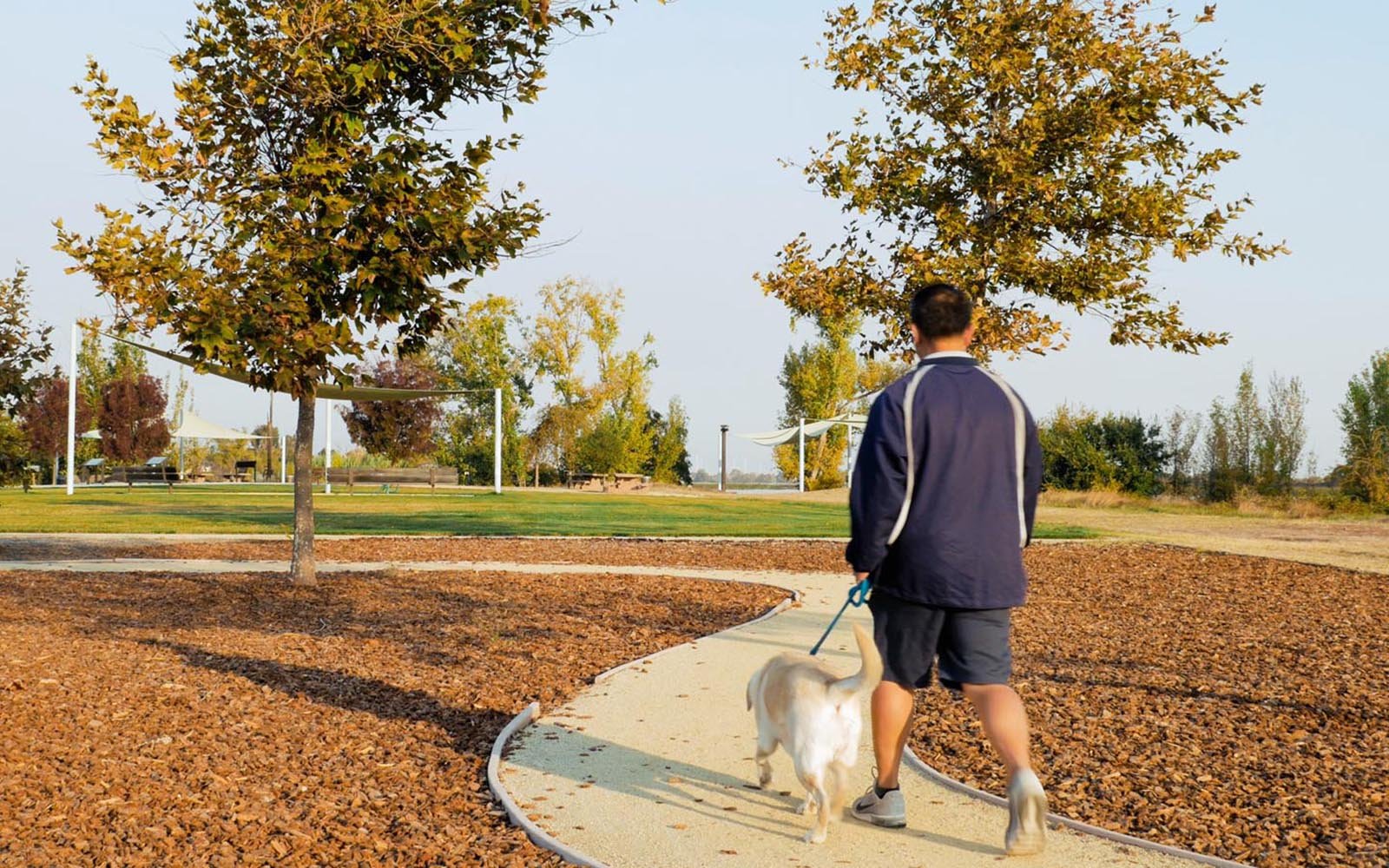 A man walking his dog on a path in a park