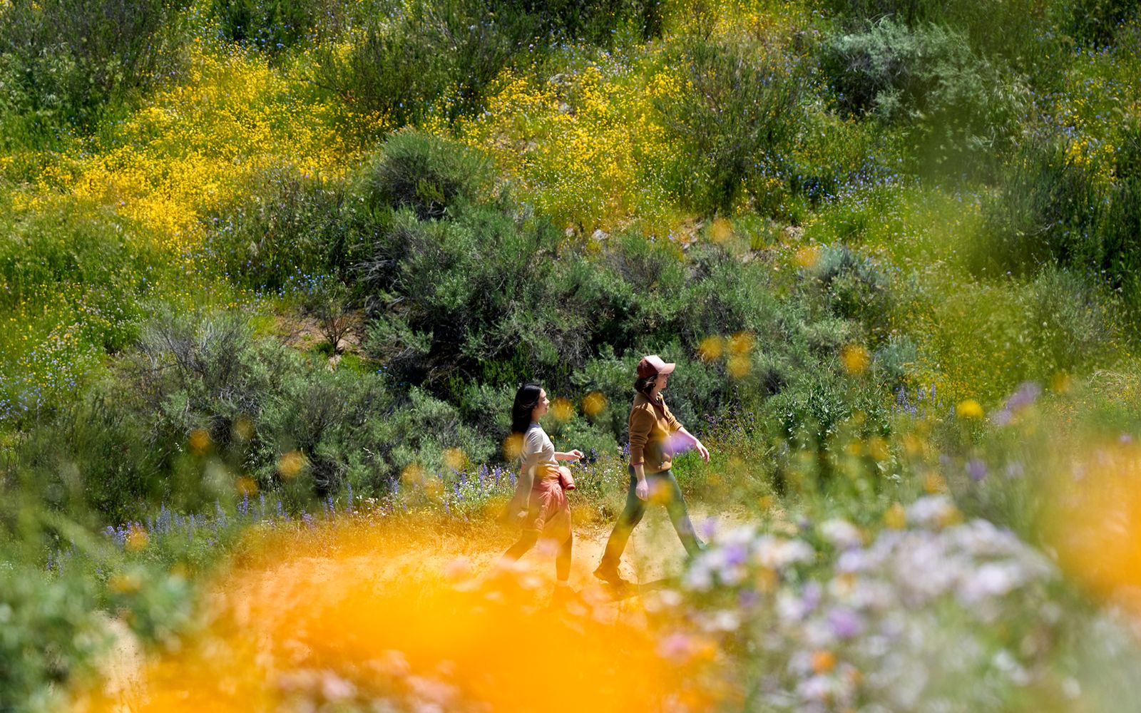 Miles of Trails