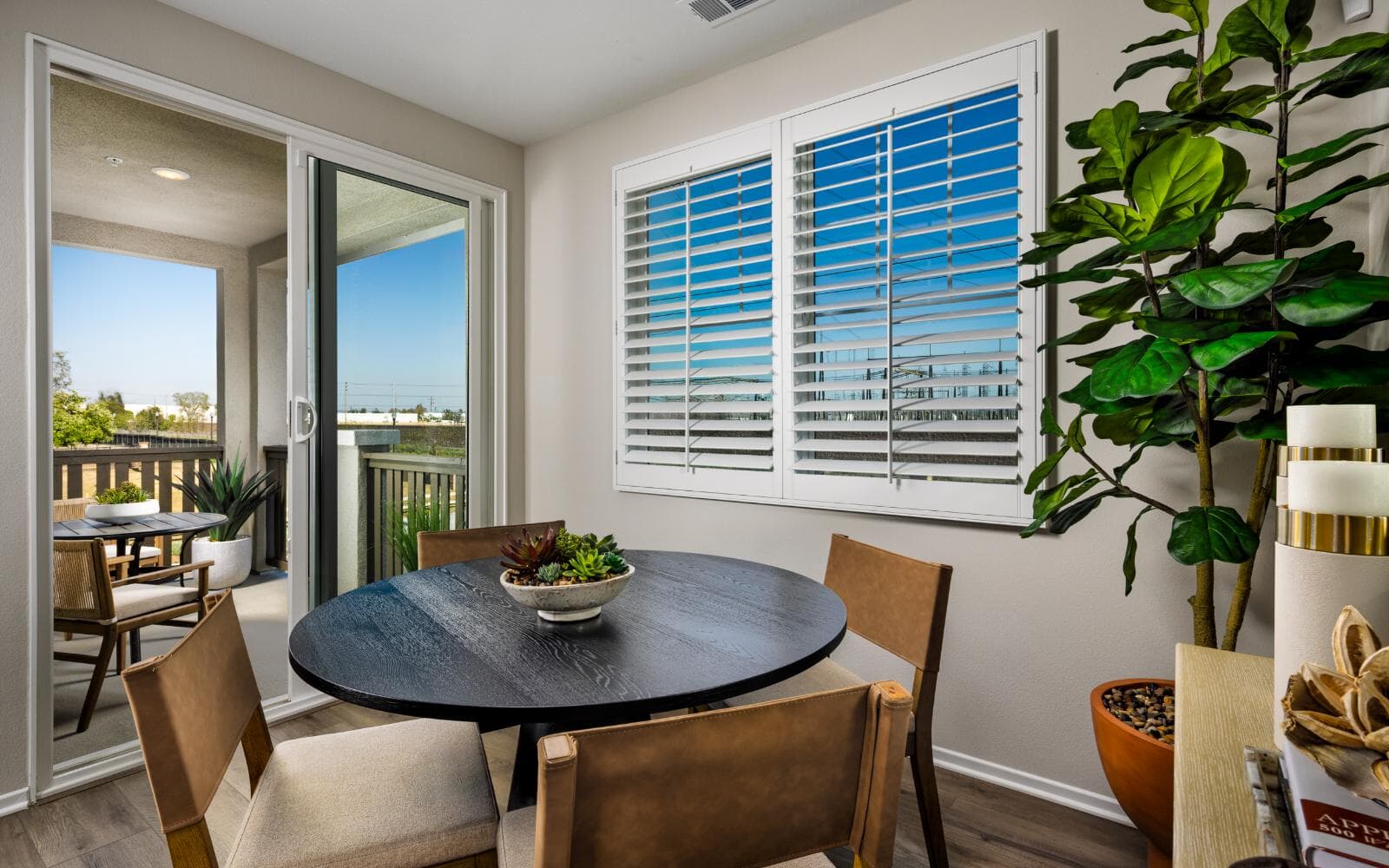 Dining to Outdoor Deck