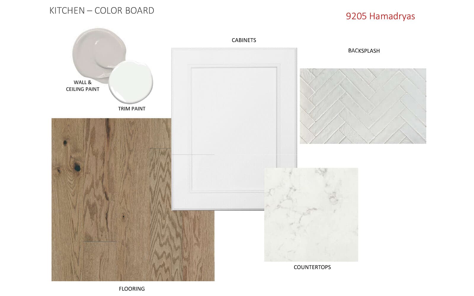9205 Hamadryas Dr Color Board 1