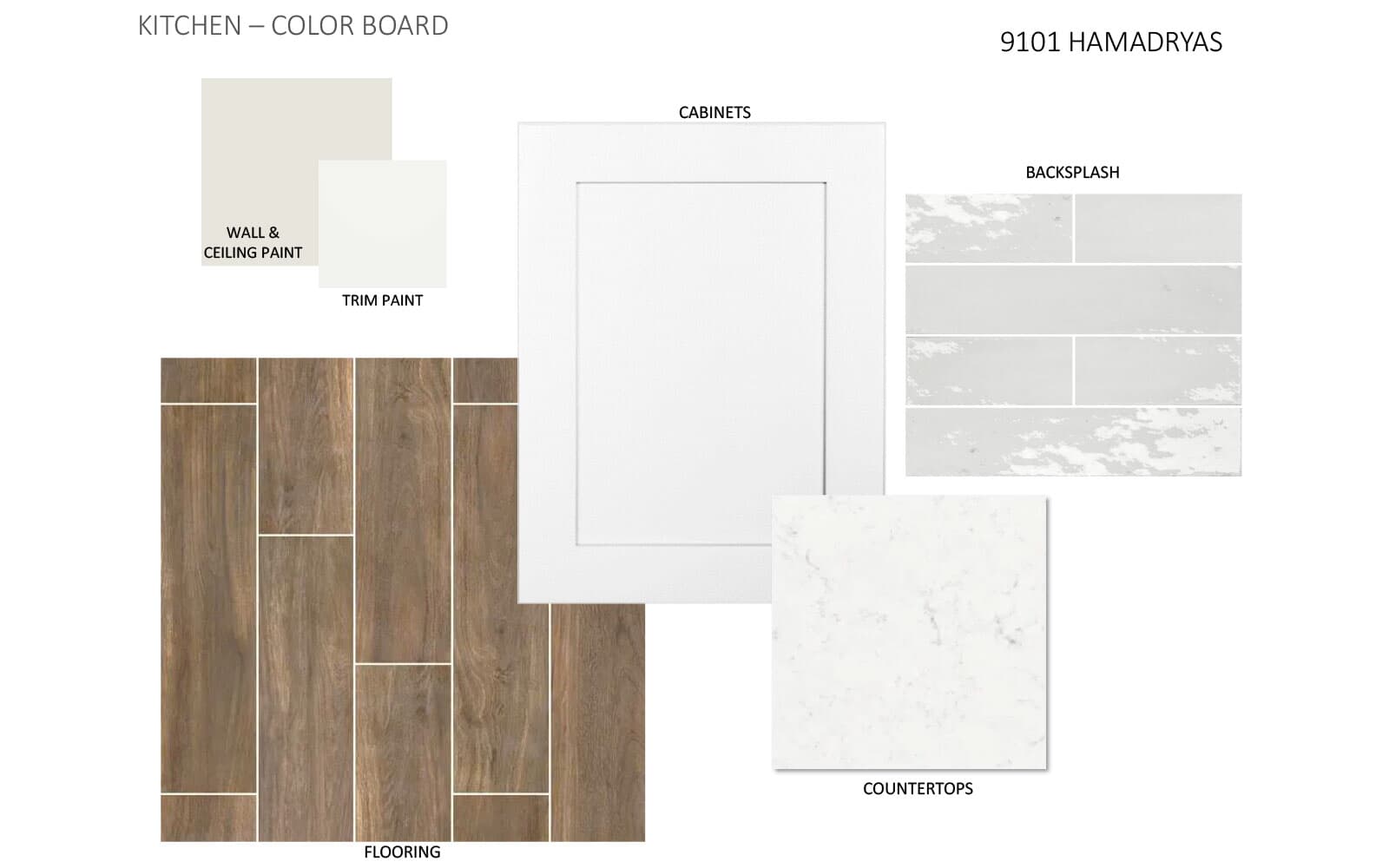 9101 Hamadryas Dr Color Board