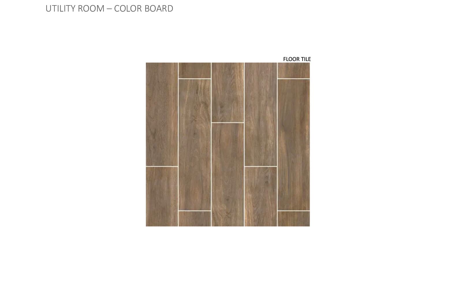 9101 Hamadryas Dr Color Board