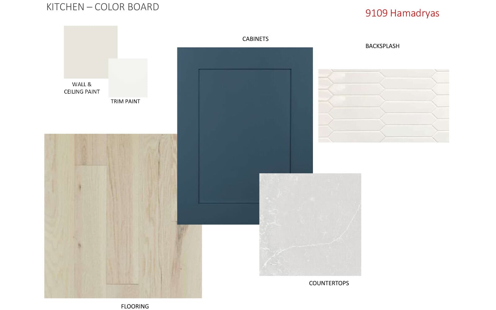 9109 Hamadryas Dr Color Board