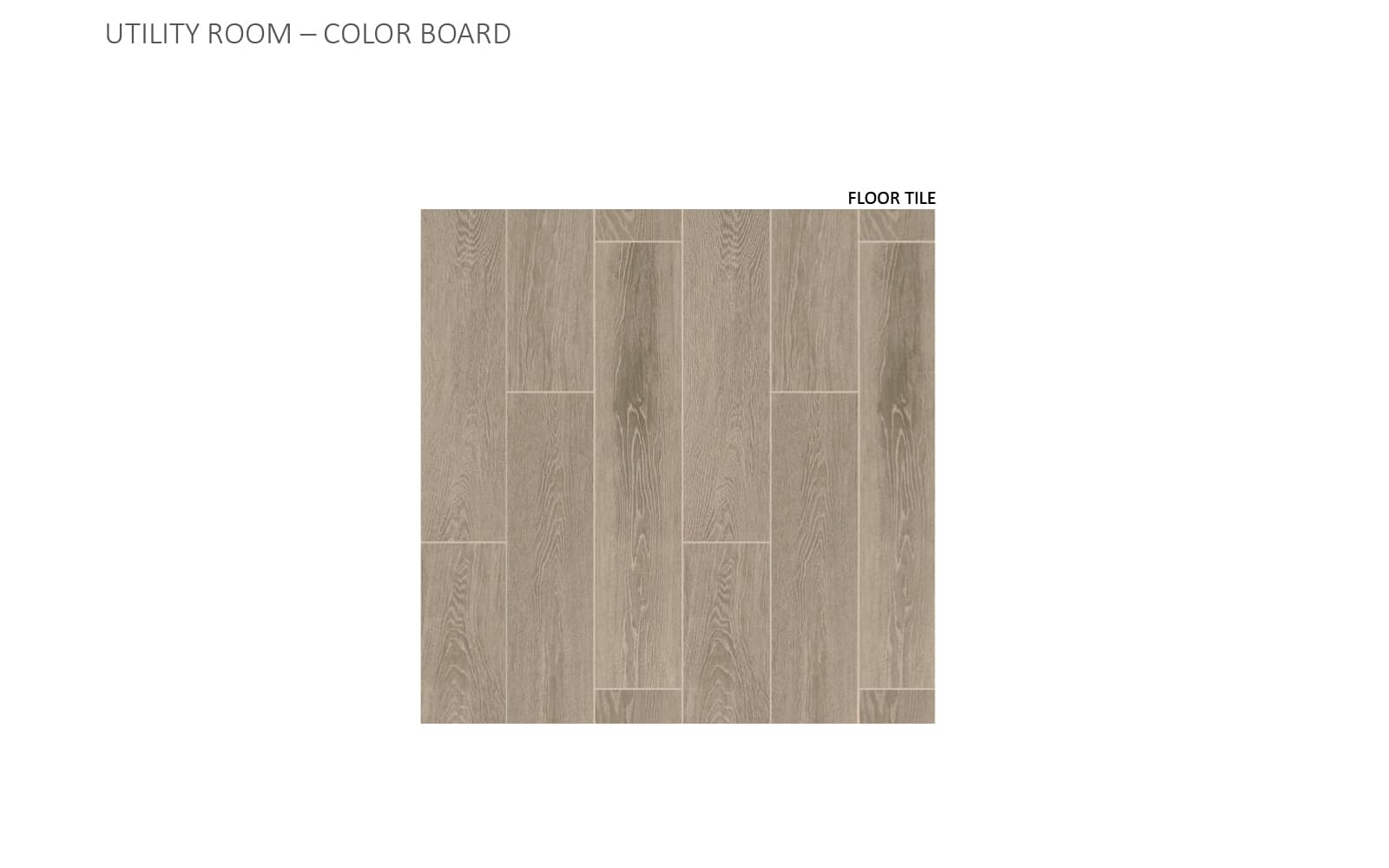 9013 Hamadryas Drive Color Boards