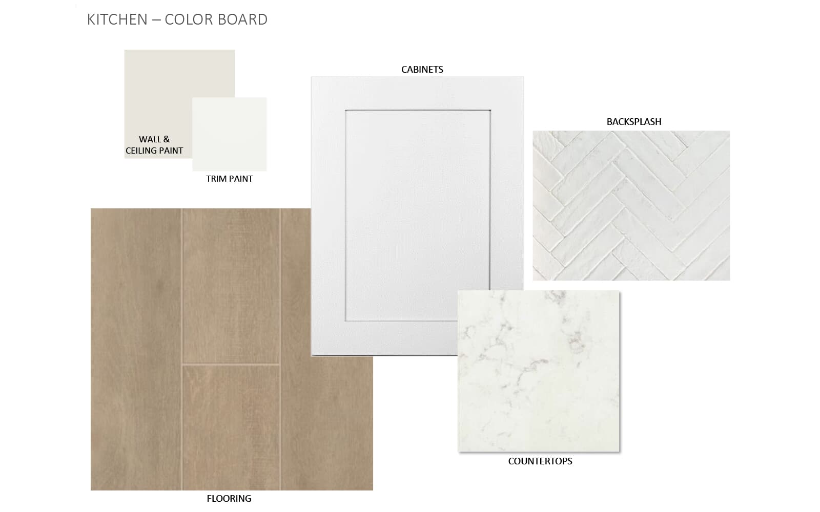 9113 Hamadryas Drive Color Boards