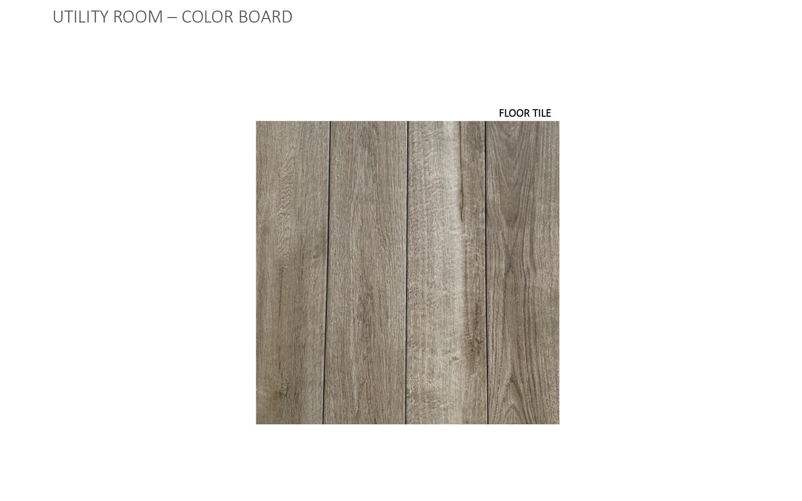 9115 Hamadryas Drive Color Boards