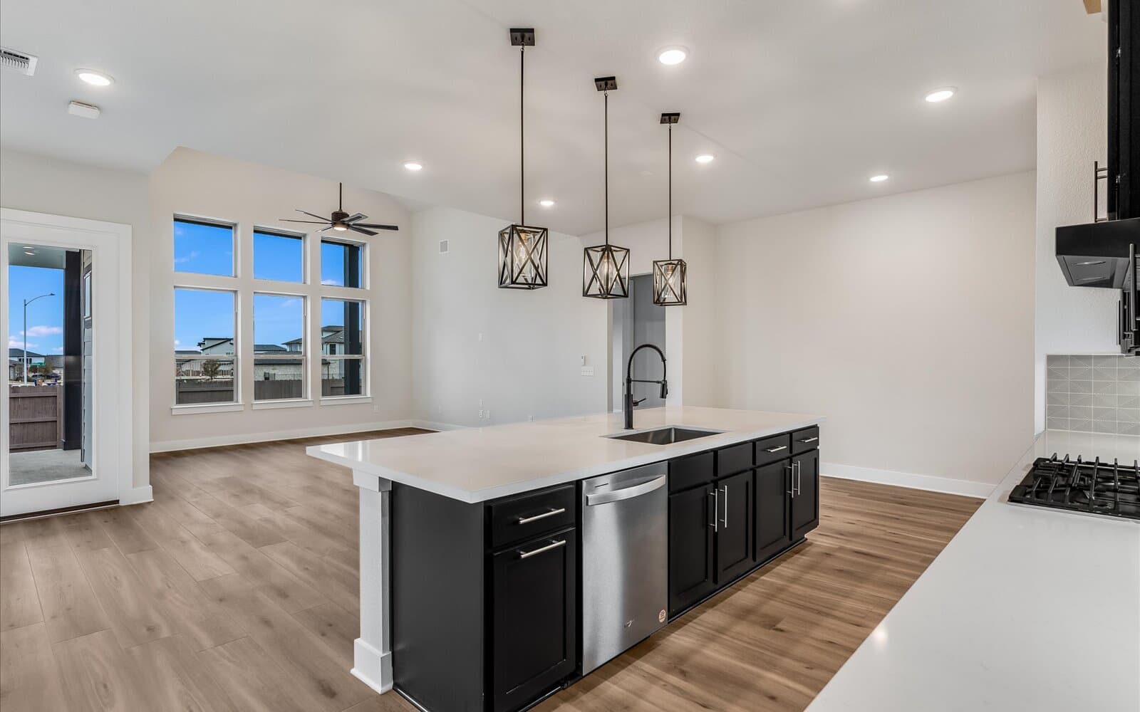 9416 Hamadryas Kitchen