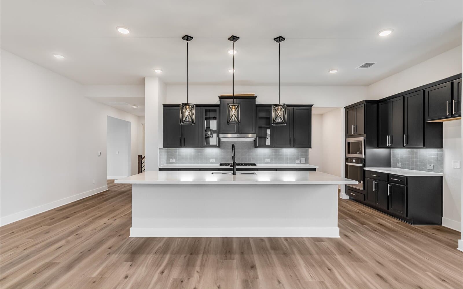 9416 Hamadryas Kitchen