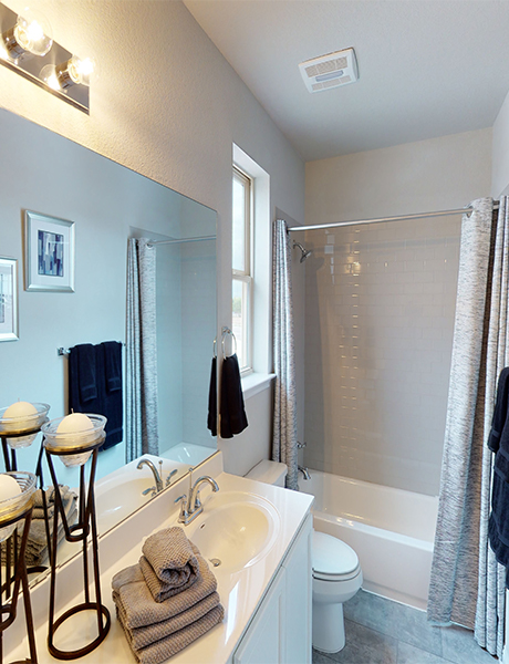 Georgetown Master Bathroom