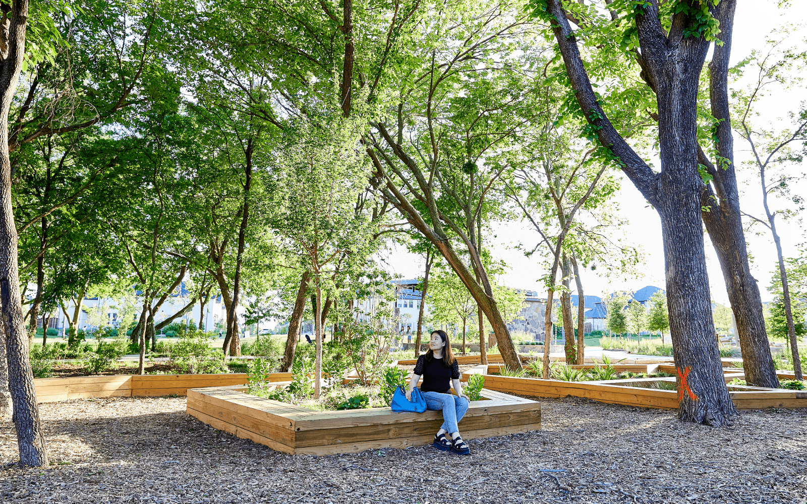 The Grove Frisco Trail