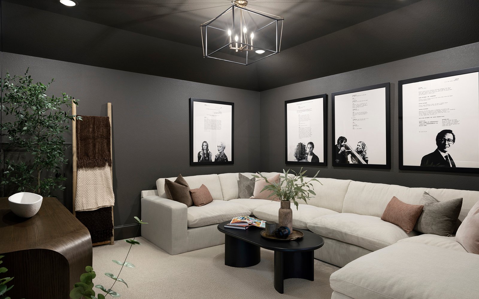 Hayden Media Room
