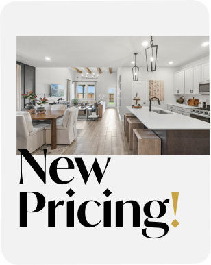 New Pricing!