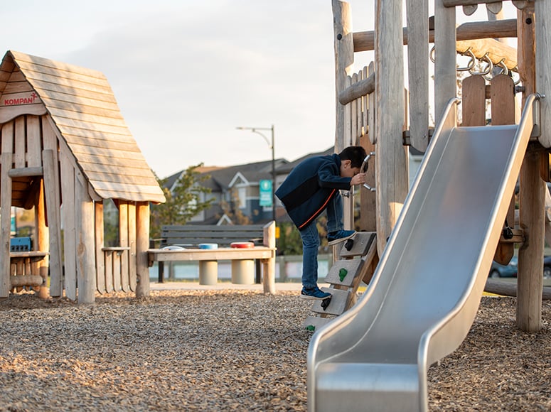Edgemont Natural Playground 