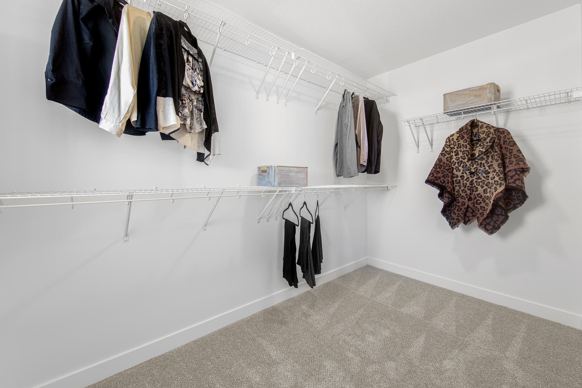 Walk-in Closet
