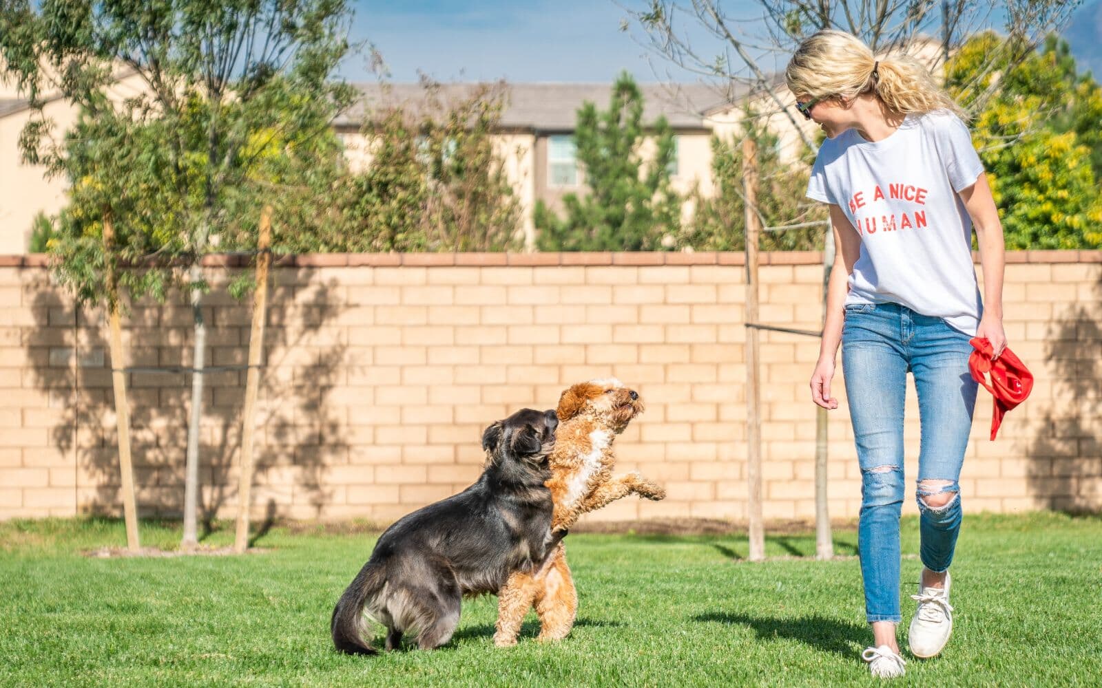 Paws Park at New Haven in Ontario, CA