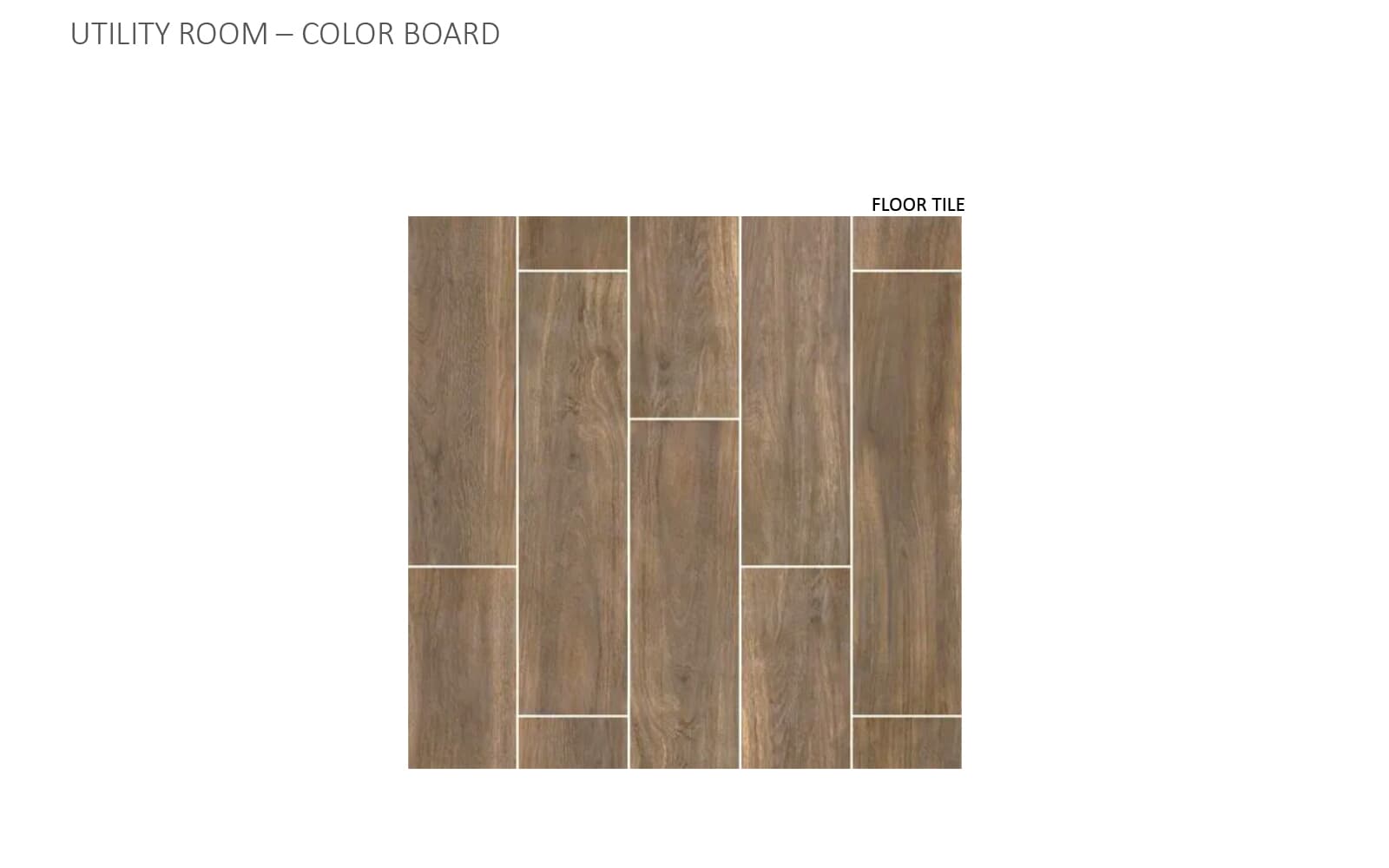 9107 Hamadryas Drive Color Boards