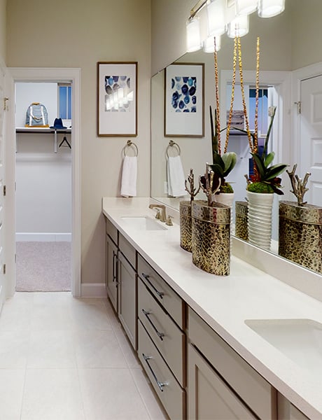 Allen Master Bathroom