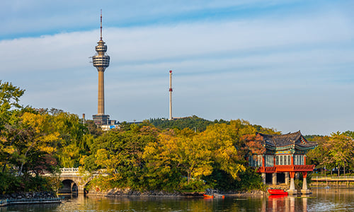 TAE Travel Guide_Cover