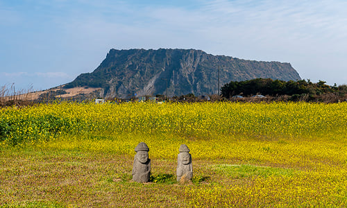 Jeju thumbnail