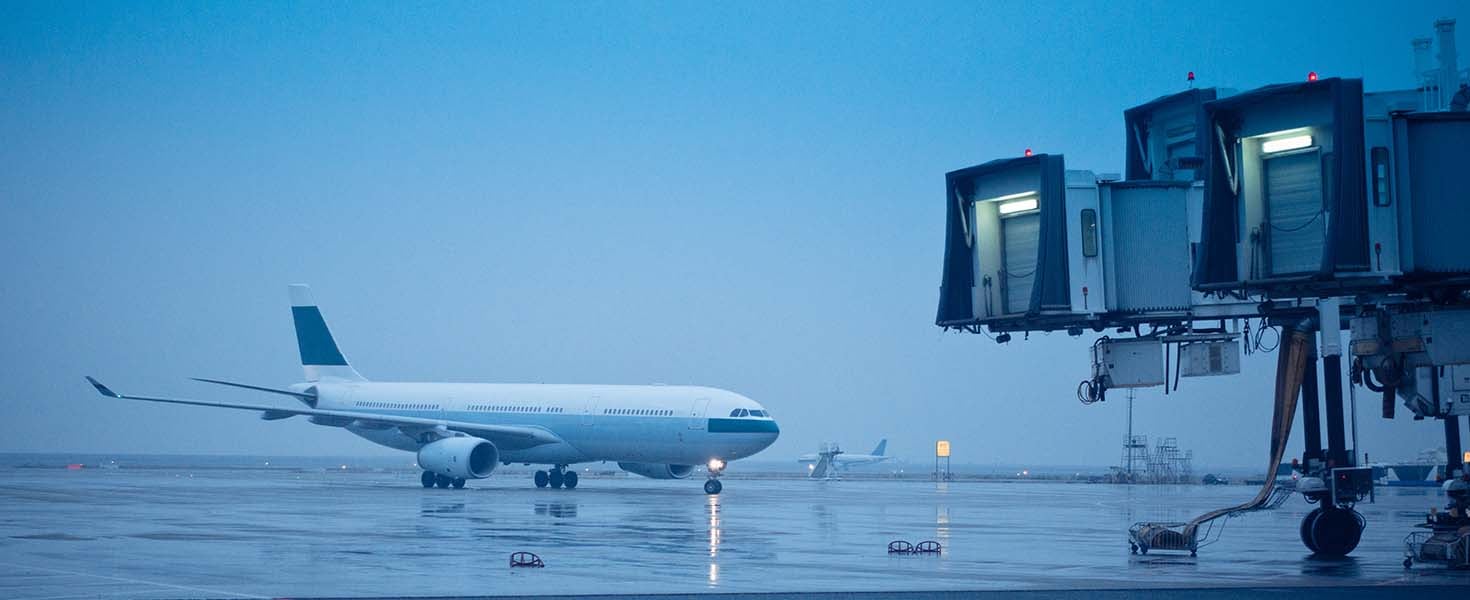 Flight Attendant