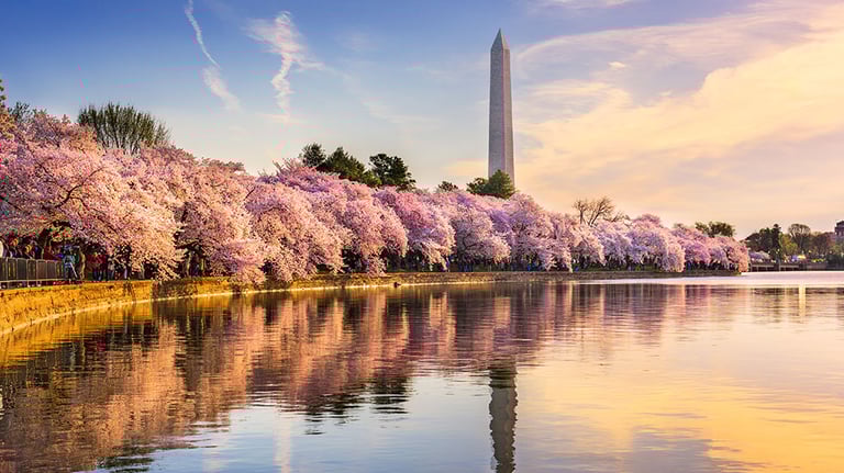 Washington DC, USA at the tidal basin with Washington Monument in spring season. Credit: SeanPavonePhoto