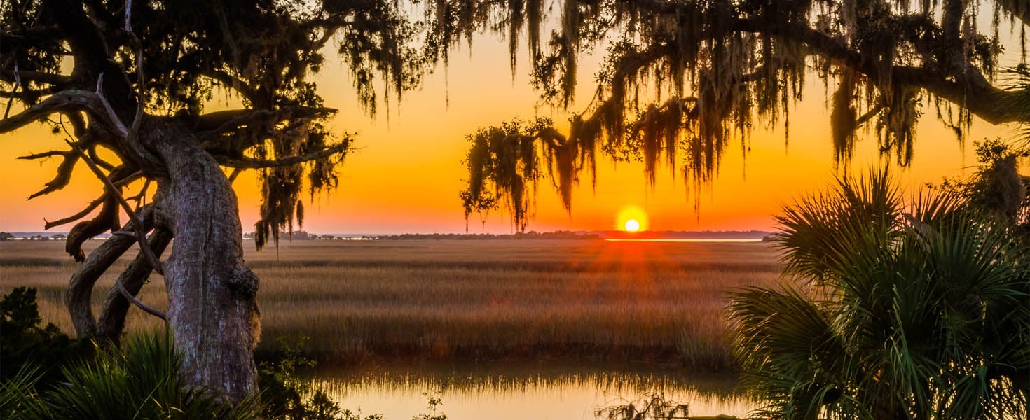 Cumberland Island
