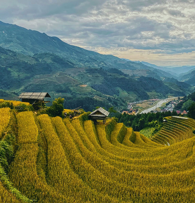 Golden rice terraces stretch across the mountainsides of Mù Cang Chải in northern Vietnam.