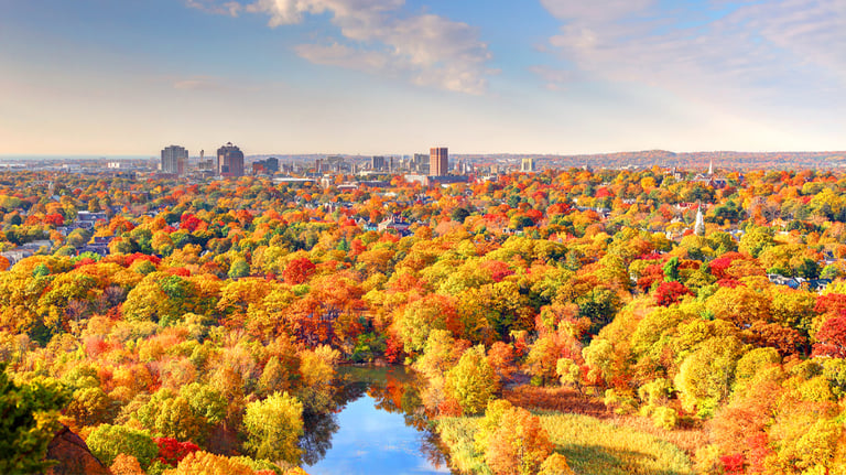 New Haven, CT Fall Foliage