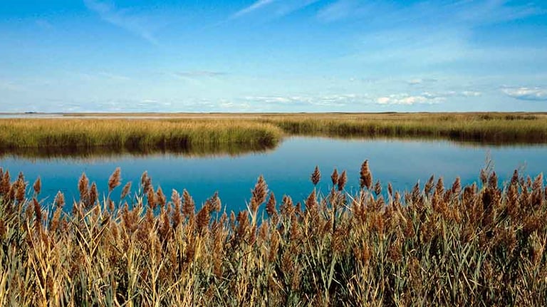 Bombay Hook