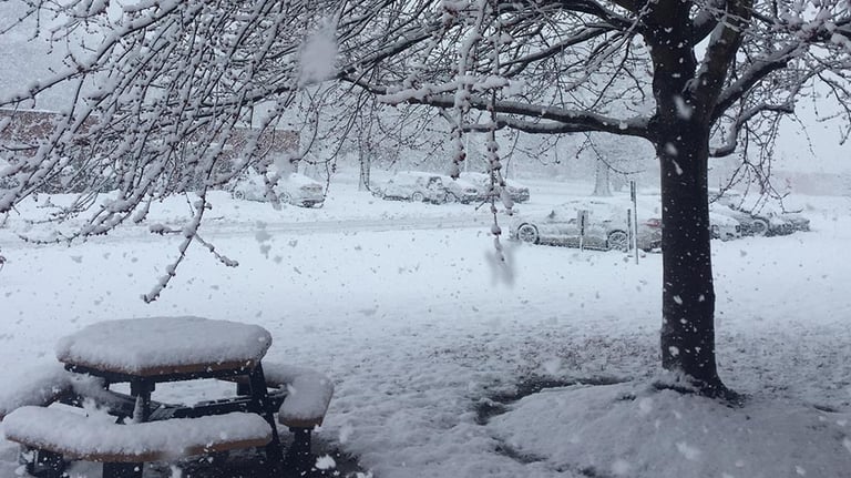 Snowy tree and table